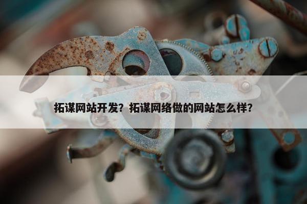 拓谋网站开发？拓谋网络做的网站怎么样？