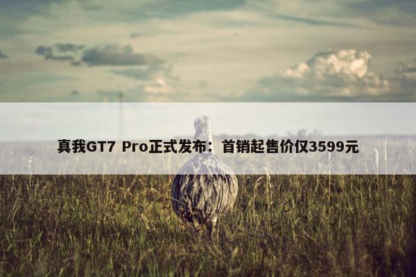 真我GT7 Pro正式发布：首销起售价仅3599元