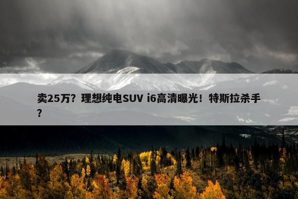 卖25万？理想纯电SUV i6高清曝光！特斯拉杀手？