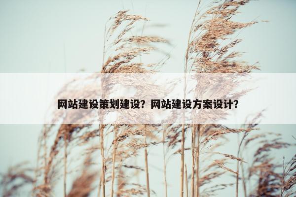 网站建设策划建设？网站建设方案设计？