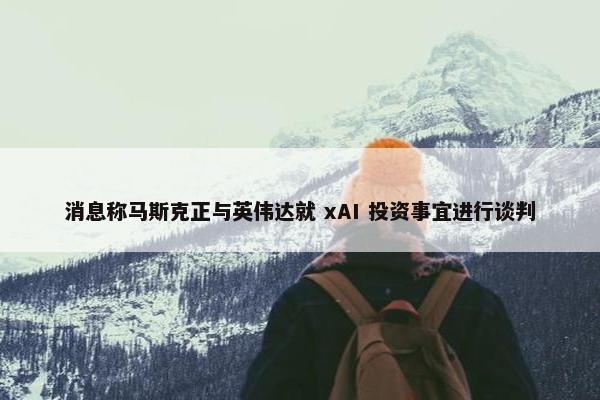 消息称马斯克正与英伟达就 xAI 投资事宜进行谈判