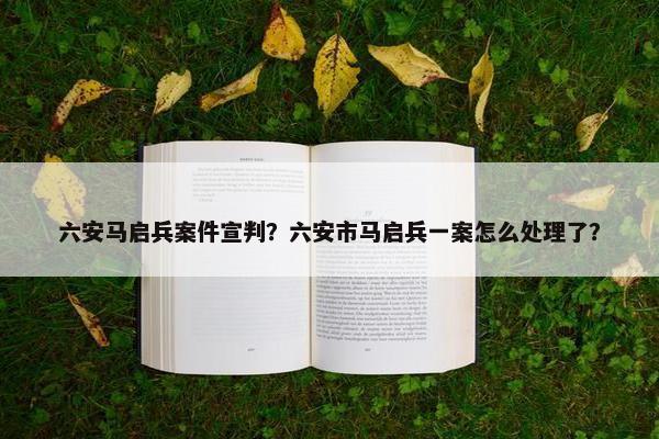 六安马启兵案件宣判？六安市马启兵一案怎么处理了？