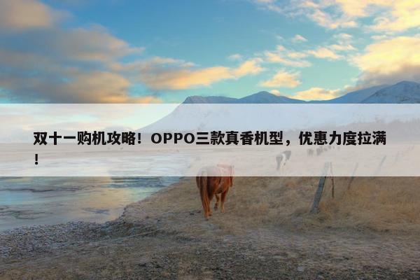 双十一购机攻略！OPPO三款真香机型，优惠力度拉满！