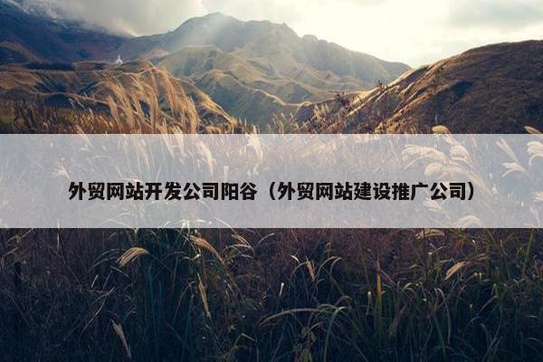 外贸网站开发公司阳谷（外贸网站建设推广公司）