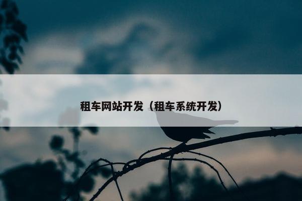 租车网站开发（租车系统开发）