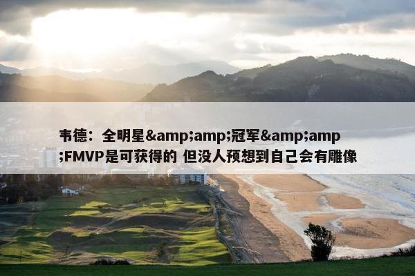 韦德：全明星&amp;冠军&amp;FMVP是可获得的 但没人预想到自己会有雕像