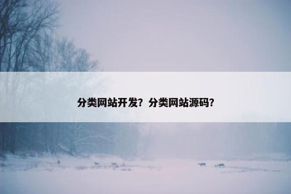 分类网站开发？分类网站源码？