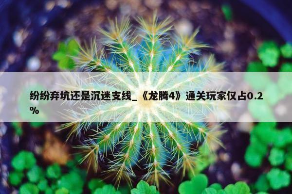 纷纷弃坑还是沉迷支线_《龙腾4》通关玩家仅占0.2%