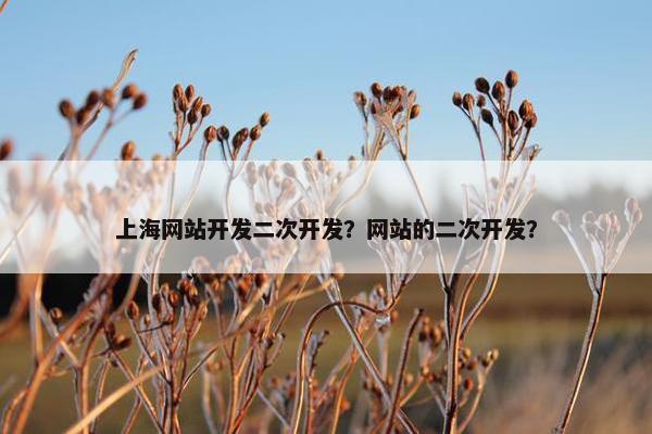 上海网站开发二次开发？网站的二次开发？