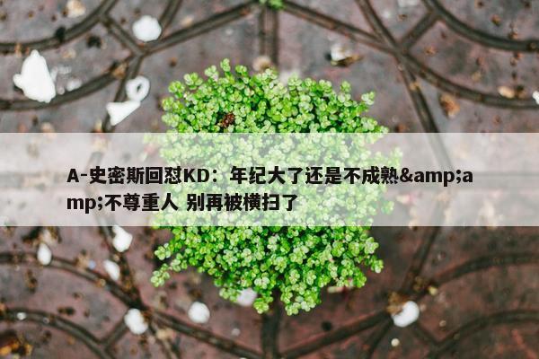 A-史密斯回怼KD：年纪大了还是不成熟&amp;不尊重人 别再被横扫了