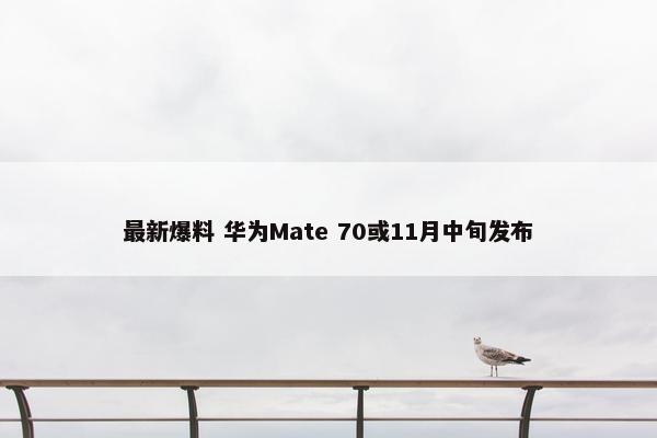 最新爆料 华为Mate 70或11月中旬发布