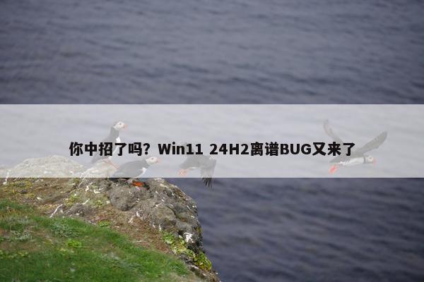 你中招了吗？Win11 24H2离谱BUG又来了