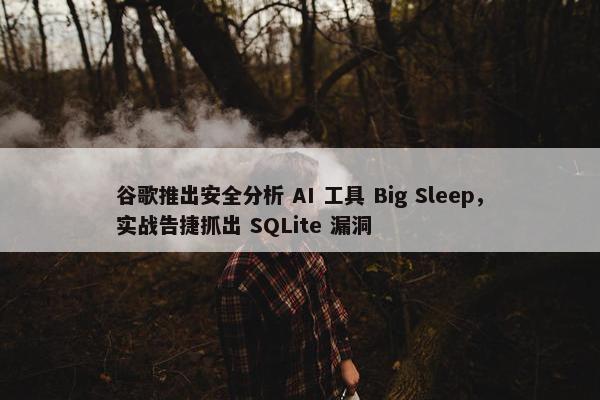 谷歌推出安全分析 AI 工具 Big Sleep，实战告捷抓出 SQLite 漏洞