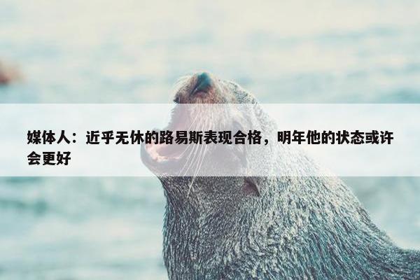 媒体人：近乎无休的路易斯表现合格，明年他的状态或许会更好