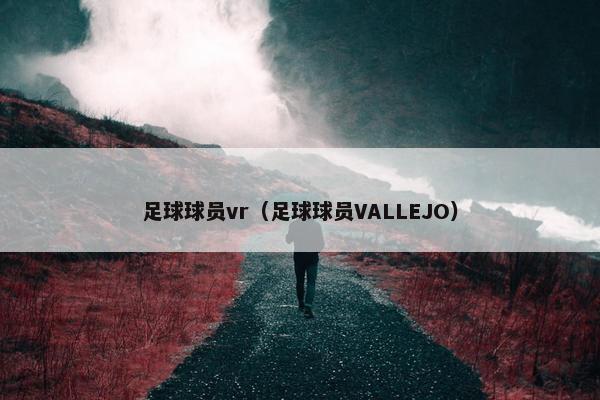 足球球员vr（足球球员VALLEJO）