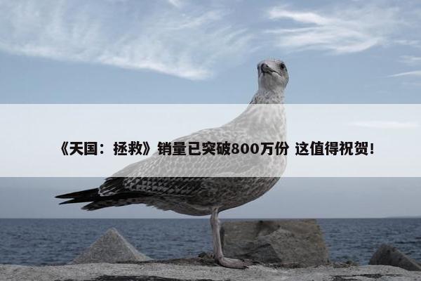 《天国：拯救》销量已突破800万份 这值得祝贺！