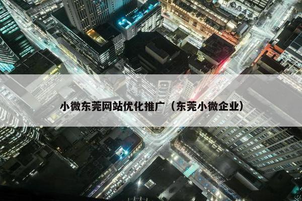 小微东莞网站优化推广（东莞小微企业）