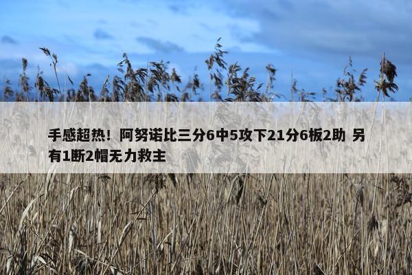 手感超热！阿努诺比三分6中5攻下21分6板2助 另有1断2帽无力救主