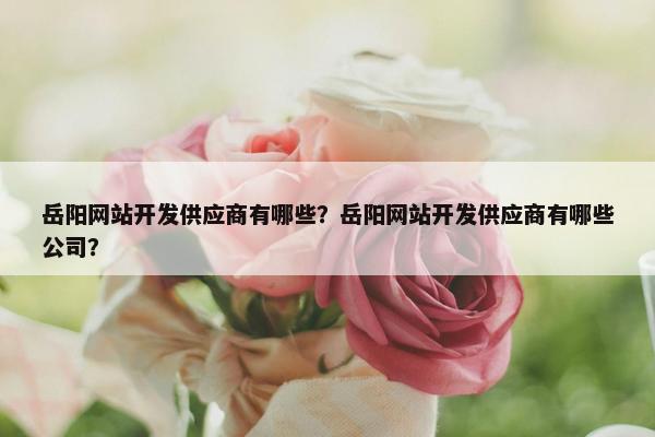 岳阳网站开发供应商有哪些？岳阳网站开发供应商有哪些公司？