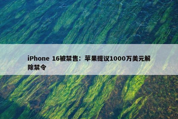 iPhone 16被禁售：苹果提议1000万美元解除禁令