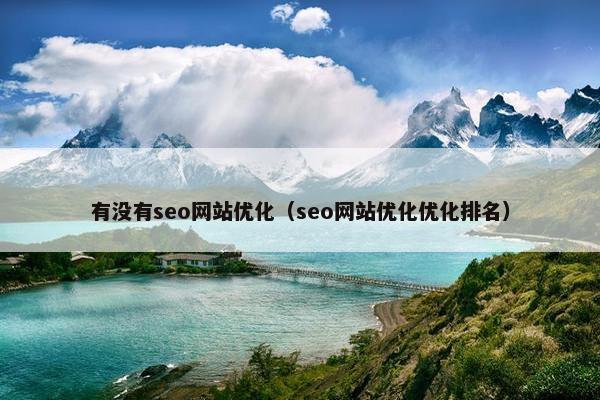 有没有seo网站优化（seo网站优化优化排名）