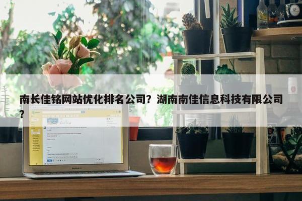 南长佳铭网站优化排名公司？湖南南佳信息科技有限公司？