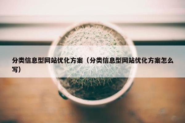 分类信息型网站优化方案（分类信息型网站优化方案怎么写）