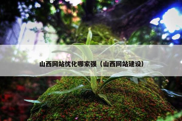 山西网站优化哪家强（山西网站建设）