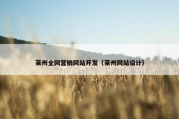 莱州全网营销网站开发（莱州网站设计）