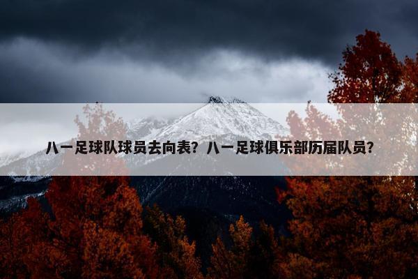 八一足球队球员去向表？八一足球俱乐部历届队员？