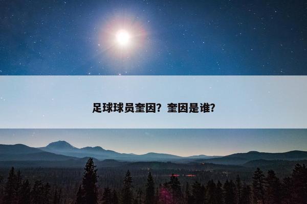 足球球员奎因？奎因是谁？