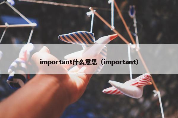 important什么意思（important）