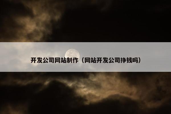 开发公司网站制作（网站开发公司挣钱吗）