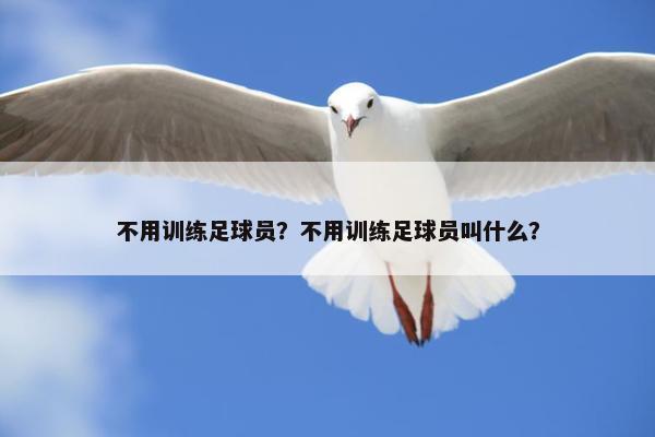 不用训练足球员？不用训练足球员叫什么？