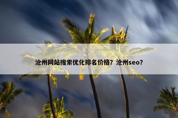 沧州网站搜索优化排名价格？沧州seo？