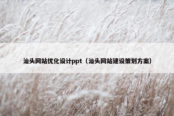 汕头网站优化设计ppt（汕头网站建设策划方案）