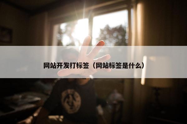 网站开发打标签（网站标签是什么）