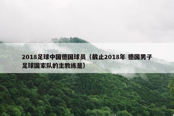 2018足球中国德国球员（截止2018年 德国男子足球国家队的主教练是）