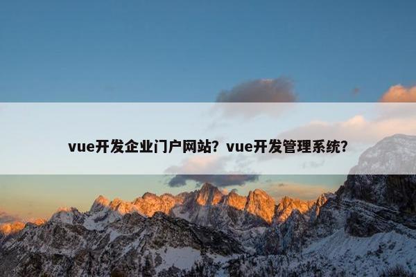 vue开发企业门户网站？vue开发管理系统？