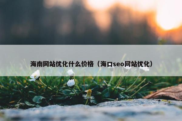 海南网站优化什么价格（海口seo网站优化）