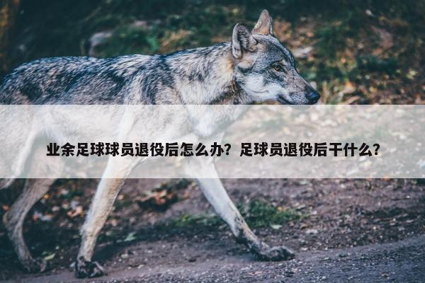 业余足球球员退役后怎么办？足球员退役后干什么？