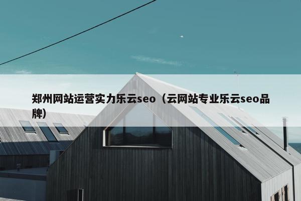 郑州网站运营实力乐云seo（云网站专业乐云seo品牌）