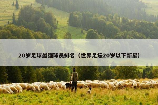 20岁足球最强球员排名（世界足坛20岁以下新星）