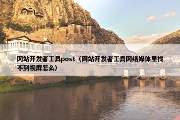 网站开发者工具post（网站开发者工具网络媒体里找不到视屏怎么）