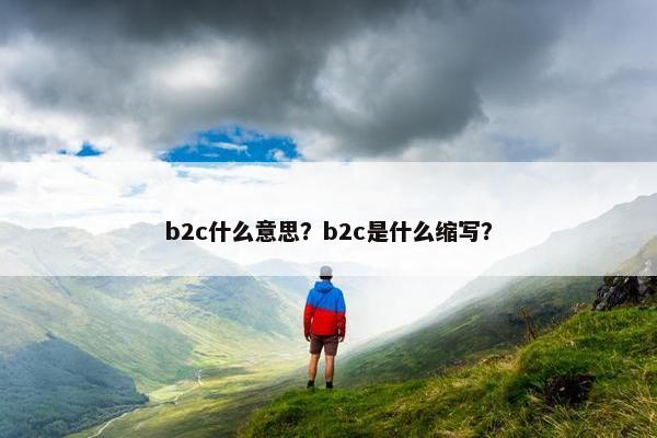 b2c什么意思？b2c是什么缩写？