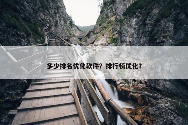 多少排名优化软件？排行榜优化？