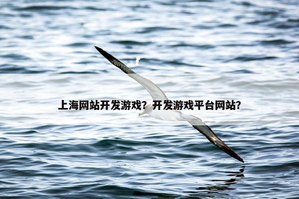 上海网站开发游戏？开发游戏平台网站？