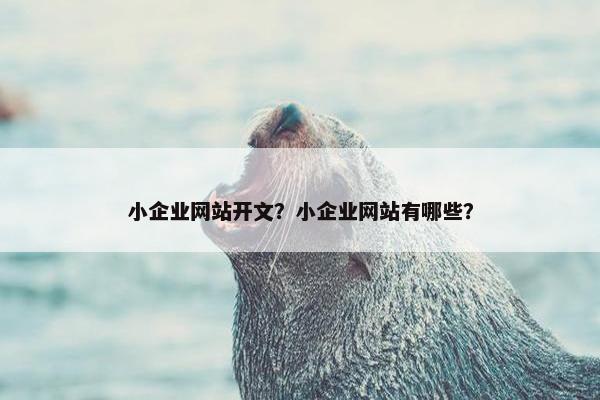 小企业网站开文？小企业网站有哪些？