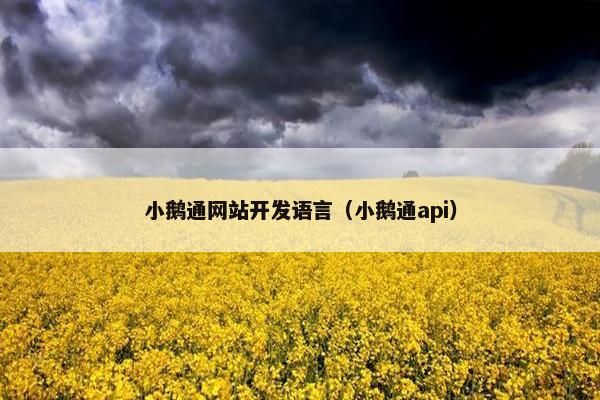 小鹅通网站开发语言（小鹅通api）