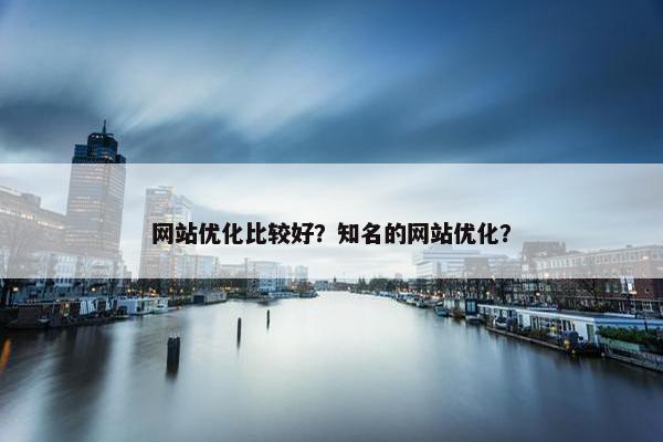 网站优化比较好？知名的网站优化？